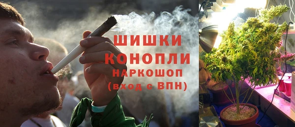 шишки Алексеевка