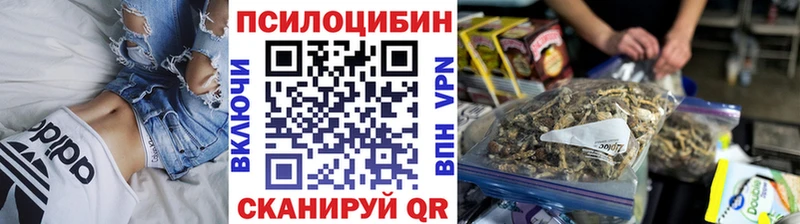 Галлюциногенные грибы Psilocybine cubensis Оленегорск